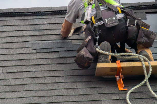 Best Storm Damage Roof Repair  in Elwood, UT