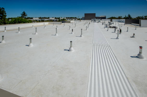Best Roof Coating and Sealing  in Elwood, UT